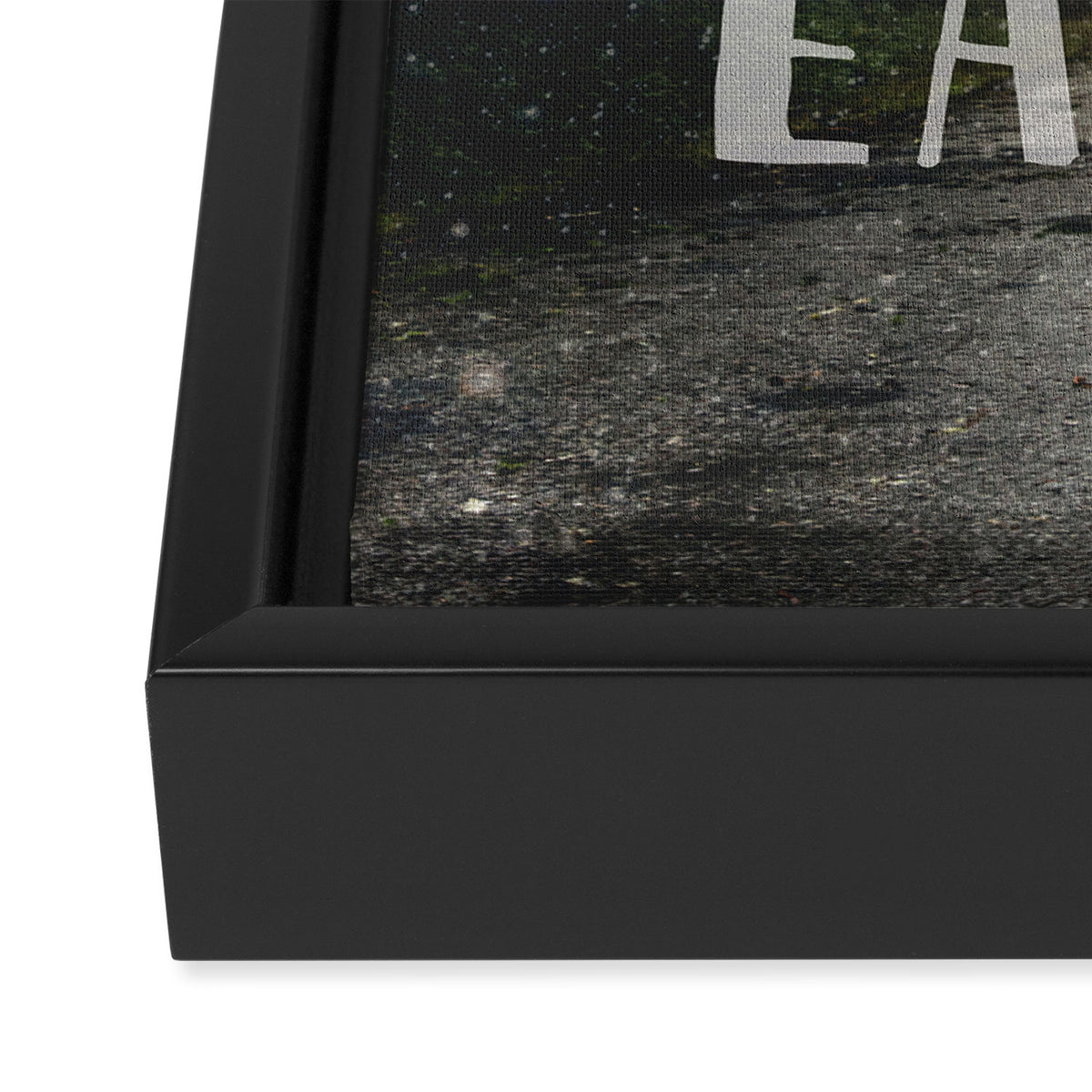 WELCOME TO EARTH Framed Canvas Print Gallery Image 3
