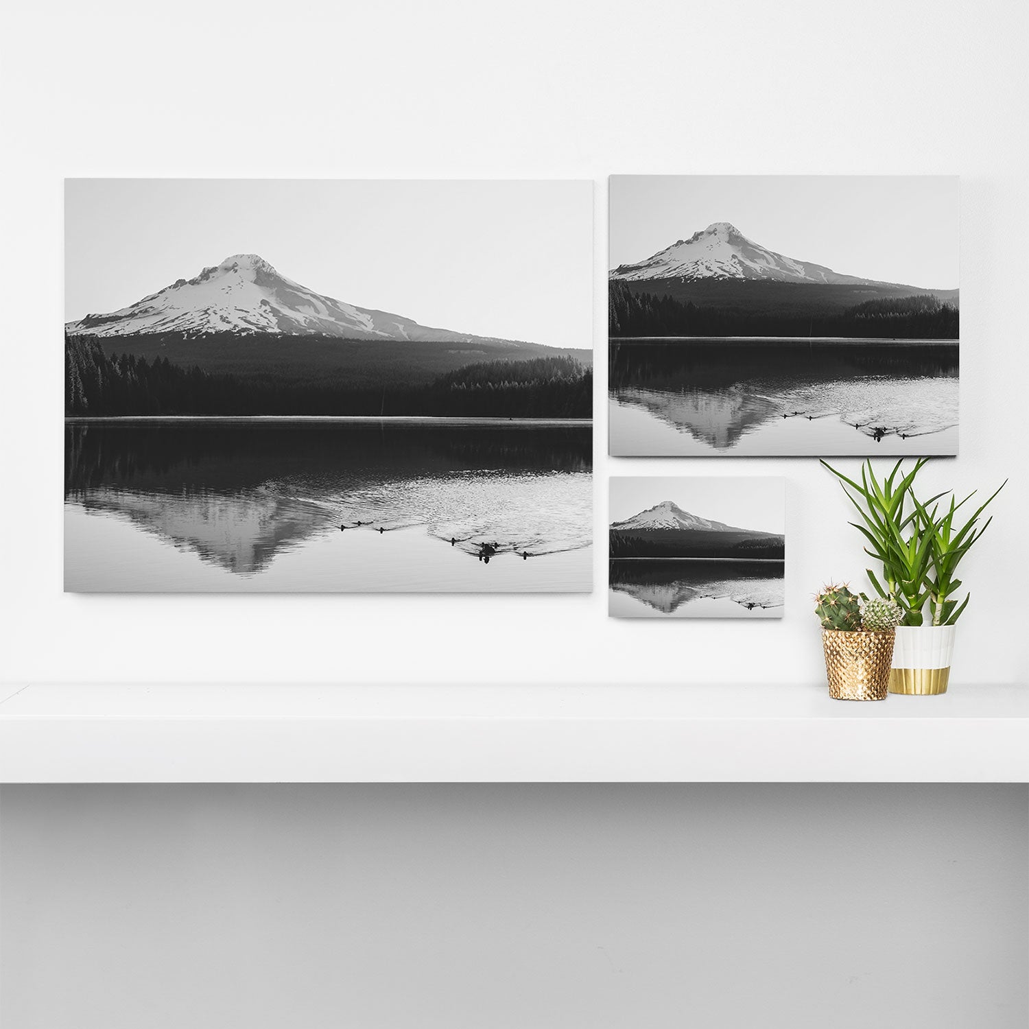 Wild Mountain Sunrise - Black and White Nature Photography Canvas Print Gallery Image 3