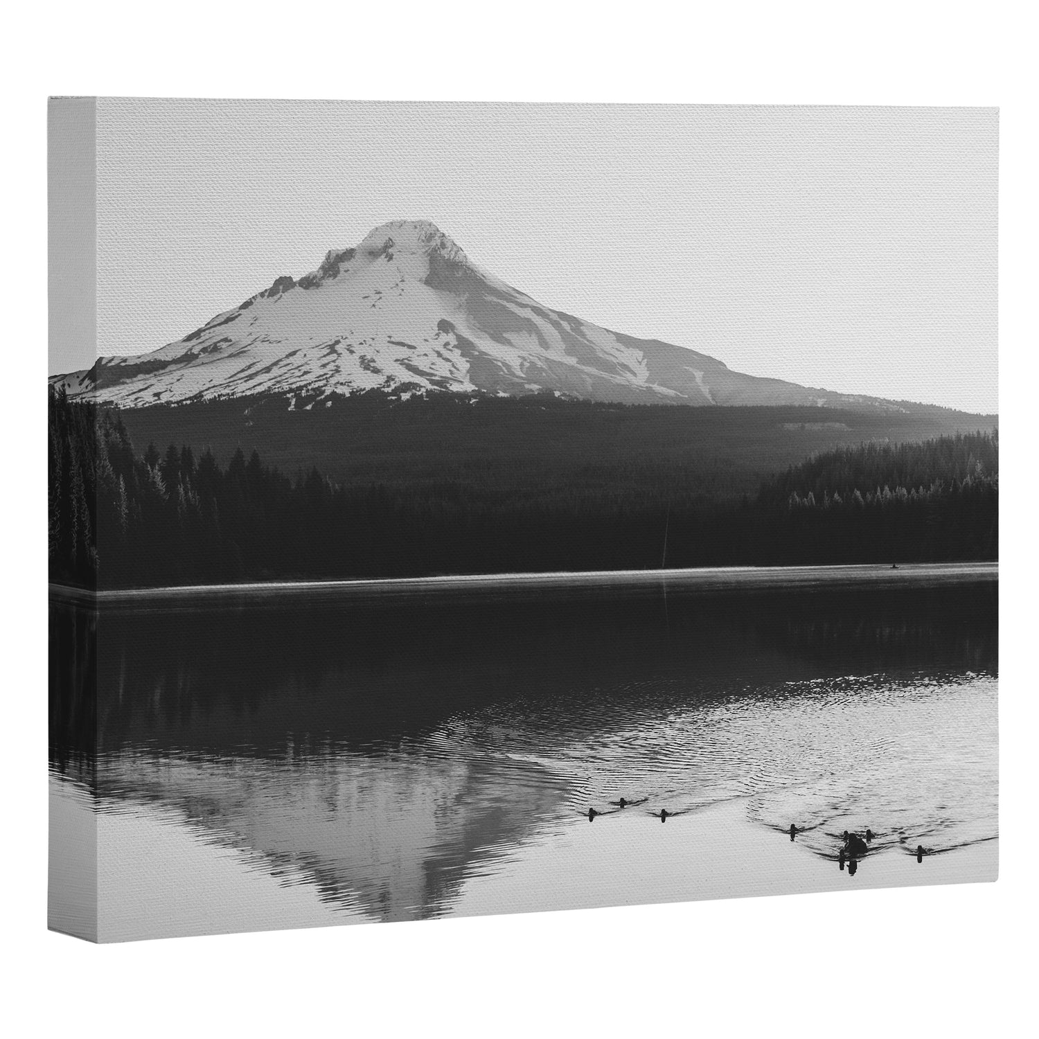 Wild Mountain Sunrise - Black and White Nature Photography Canvas Print Gallery Image 3