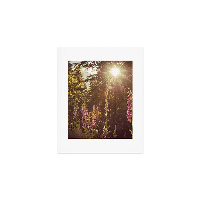 Wildflower Sunrise in the Mountains - Nature Photography Art Print Gallery Image 1