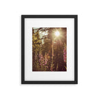 Wildflower Sunrise in the Mountains - Nature Photography Framed Art Print Gallery Image 5