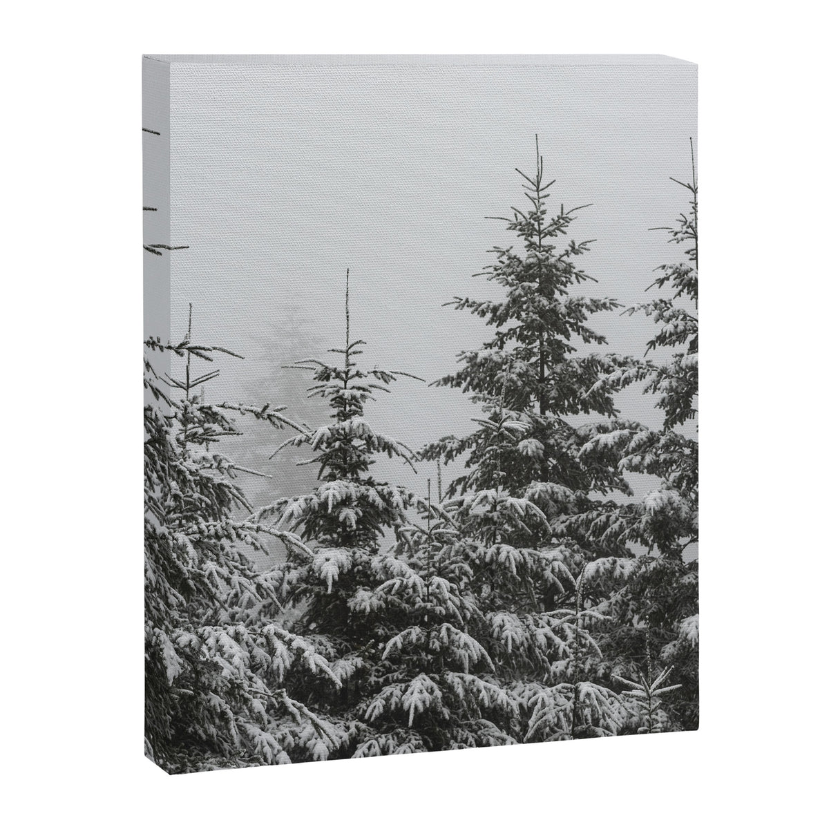 Winter Forest Fir Tree Snow II - Nature Photography Canvas Print Gallery Image 6