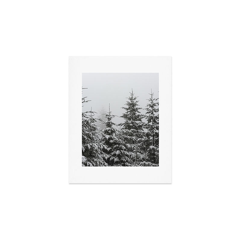 Winter Forest Fir Tree Snow II - Nature Photography Art Print Gallery Image 1