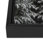 Winter Forest Fir Tree Snow II - Nature Photography Framed Canvas Print Gallery Image 3