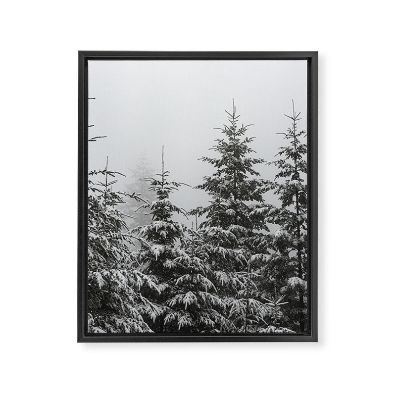 Winter Forest Fir Tree Snow II - Nature Photography Framed Canvas Print Gallery Image 6