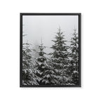 Winter Forest Fir Tree Snow II - Nature Photography Framed Canvas Print Gallery Image 6
