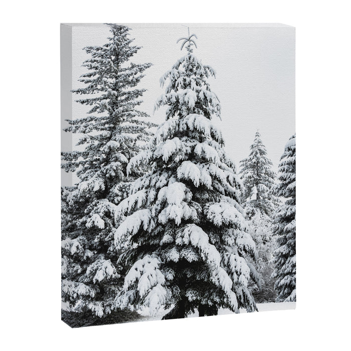 Winter Magic - Snow Covered Fir Trees Pacific Northwest Canvas Print Gallery Image 1
