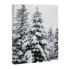 Winter Magic - Snow Covered Fir Trees Pacific Northwest Canvas Print Gallery Image 6