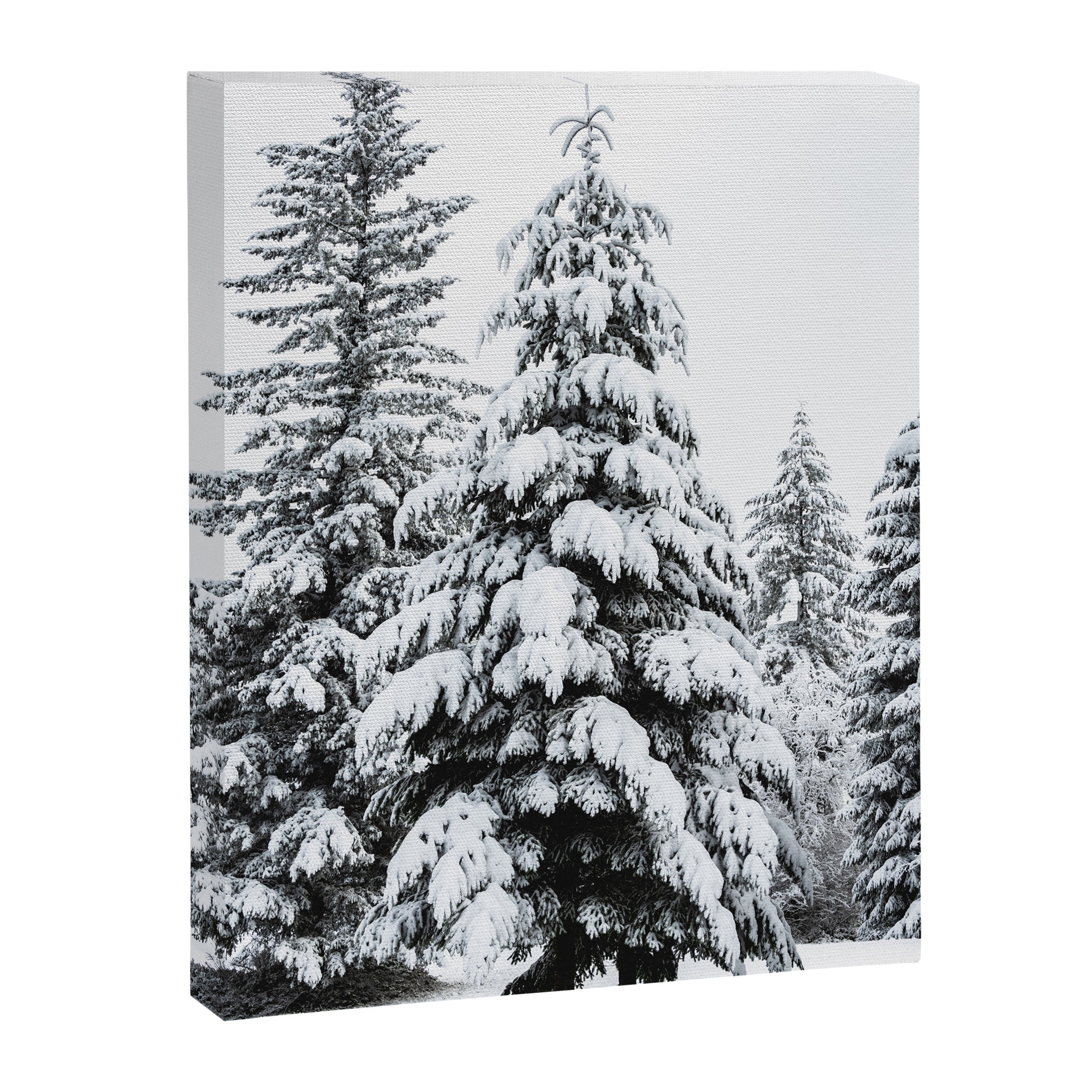 Winter Magic - Snow Covered Fir Trees Pacific Northwest Canvas Print Gallery Image 6