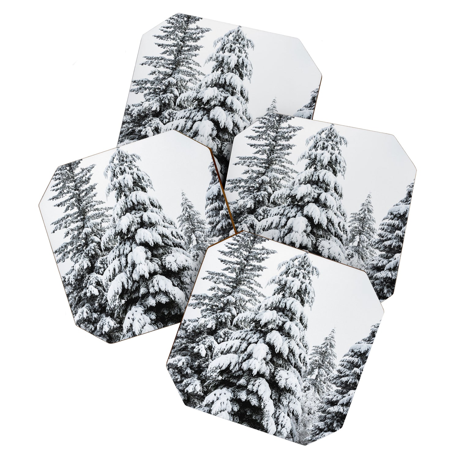 Winter Magic - Snow Covered Fir Trees Pacific Northwest Coaster Gallery Image 1