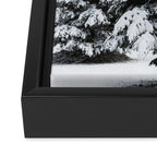 Winter Magic - Snow Covered Fir Trees Pacific Northwest Framed Canvas Print Gallery Image 3