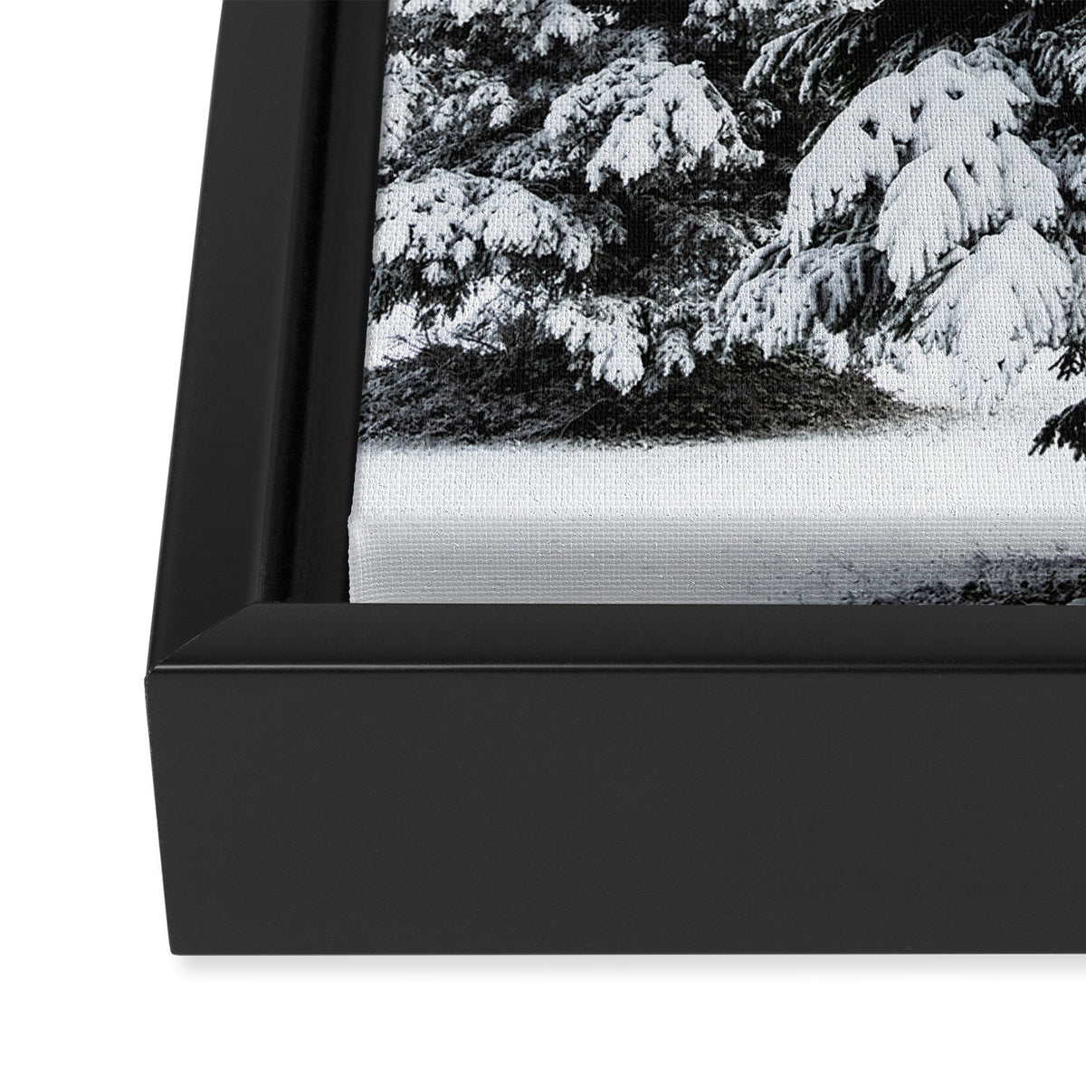 Winter Magic - Snow Covered Fir Trees Pacific Northwest Framed Canvas Print Gallery Image 3