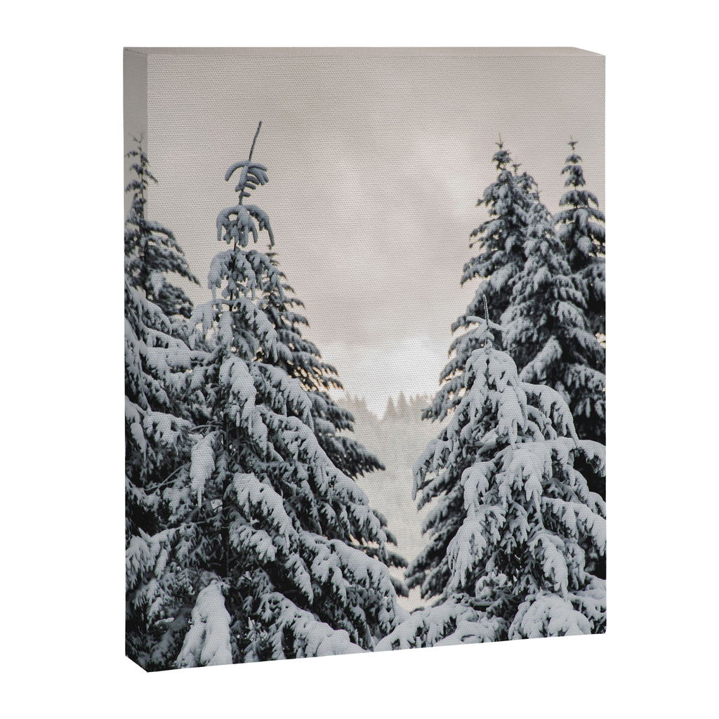 Winter Woods II - Snow Capped Forest Adventure Nature Photography Canvas Print Gallery Image 6