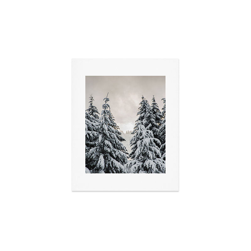 Winter Woods II - Snow Capped Forest Adventure Nature Photography Art Print Gallery Image 1