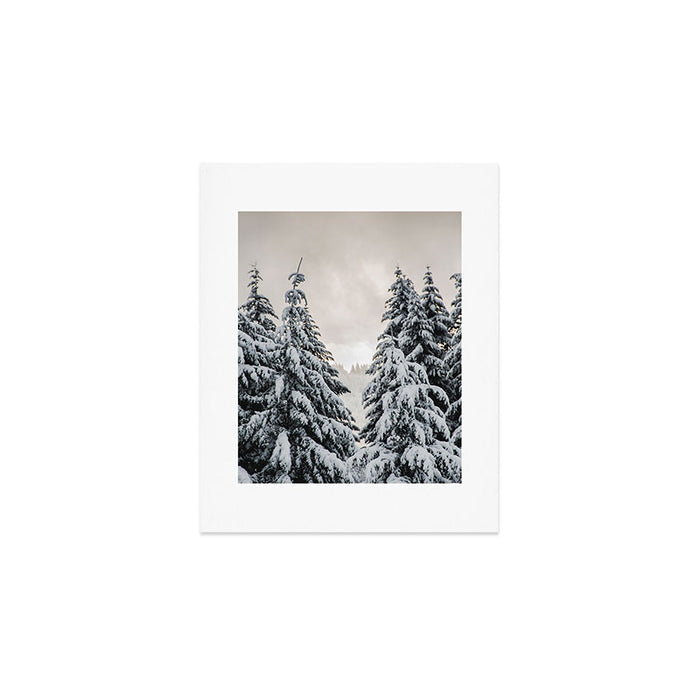 Winter Woods II - Snow Capped Forest Adventure Nature Photography Art Print Gallery Image 1