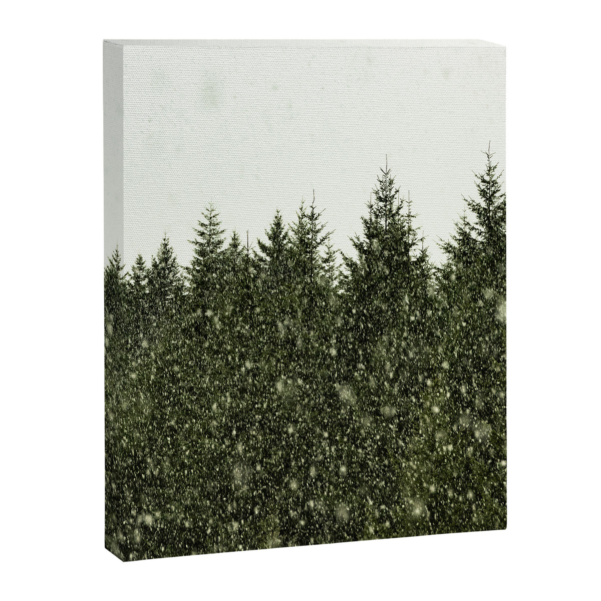 Winter Woods Pacific Northwest - Wanderlust Adventure Canvas Print Gallery Image 6