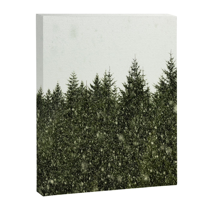 Winter Woods Pacific Northwest - Wanderlust Adventure Canvas Print Gallery Image 1