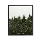 Winter Woods Pacific Northwest - Wanderlust Adventure Framed Canvas Print Gallery Image 6