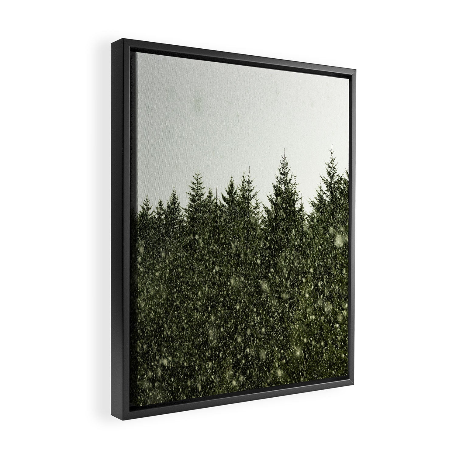 Winter Woods Pacific Northwest - Wanderlust Adventure Framed Canvas Print Gallery Image 2