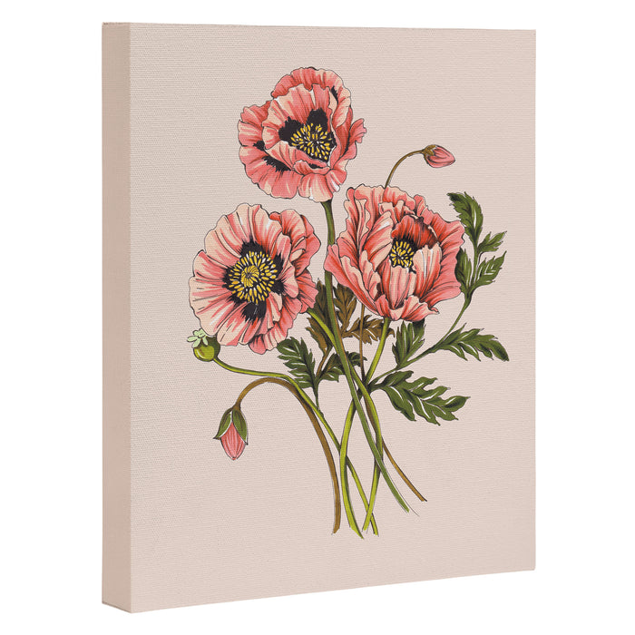 Pink Shirley Poppies  Canvas Print Gallery Image 1