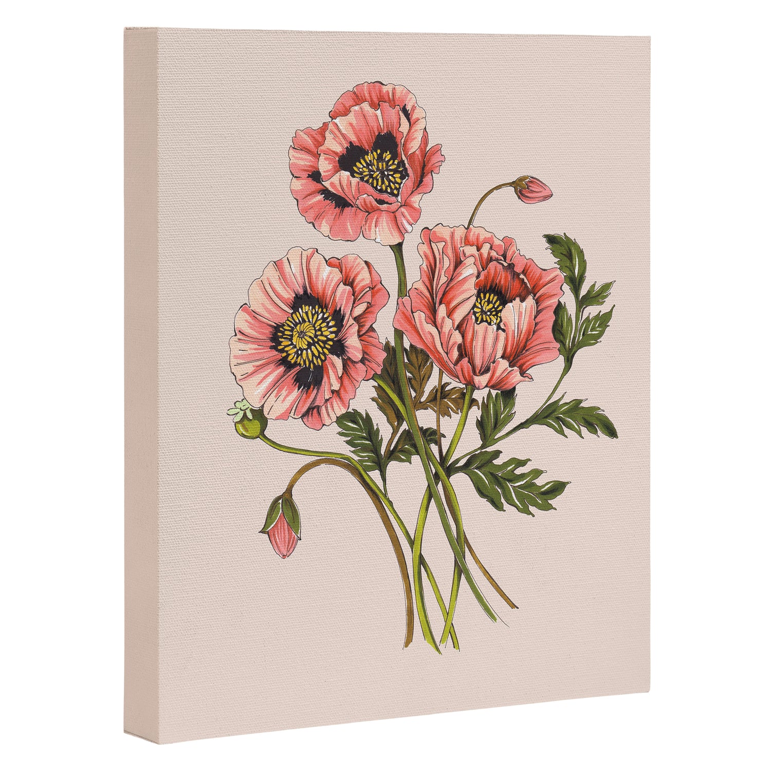 Pink Shirley Poppies  Canvas Print Gallery Image 3