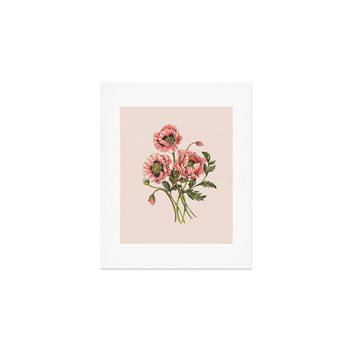 Pink Shirley Poppies  Art Print Gallery Image 1