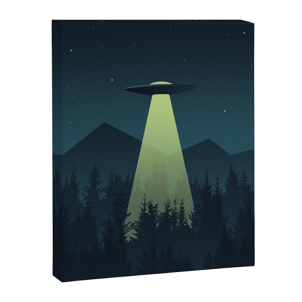 Forest UFO Canvas Print Gallery Image 8
