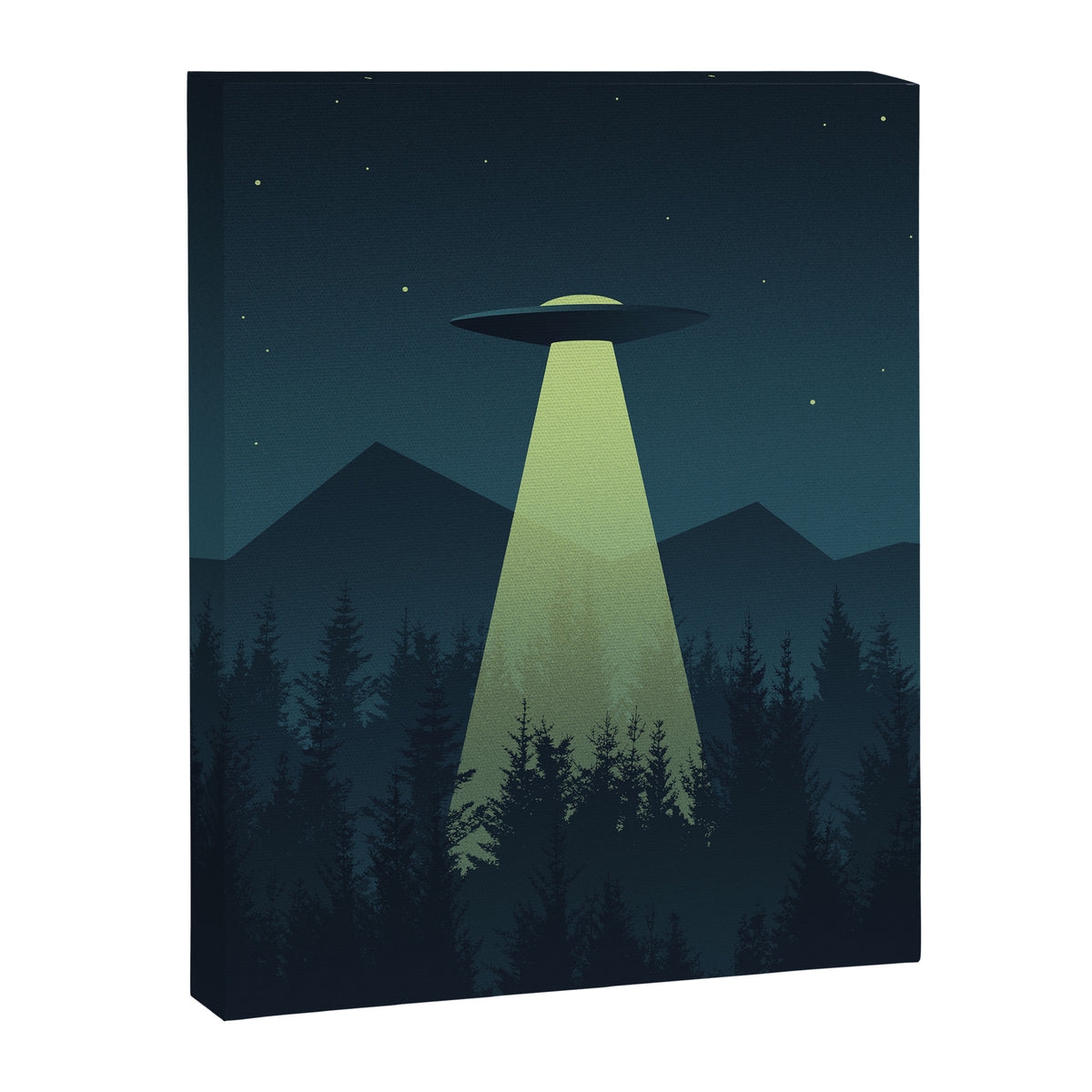 Forest UFO Canvas Print Gallery Image 8