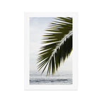 Beach Palm Art Print Gallery Image 1