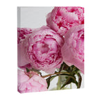 Blush Pink Peonies Canvas Print Gallery Image 6