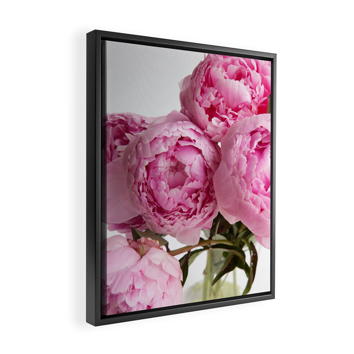 Blush Pink Peonies Framed Canvas Print Gallery Image 2