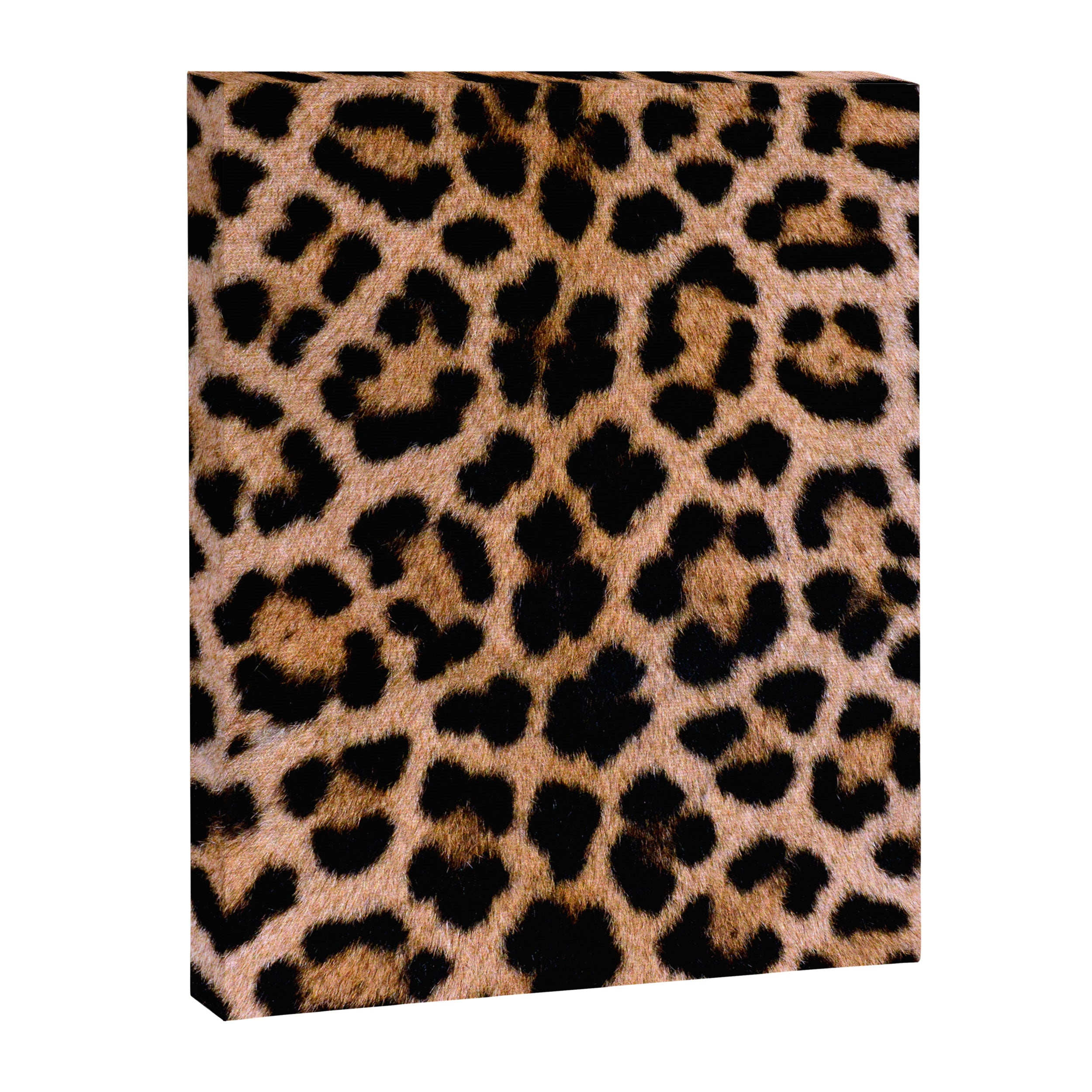 Cheetah Print Canvas Print Gallery Image 6