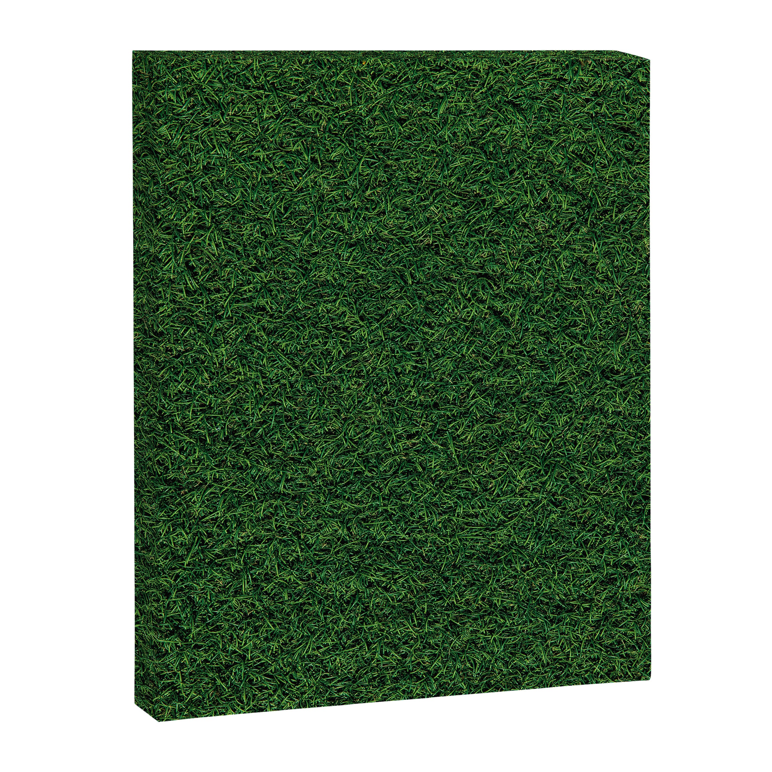 Green Grass Canvas Print Gallery Image 6