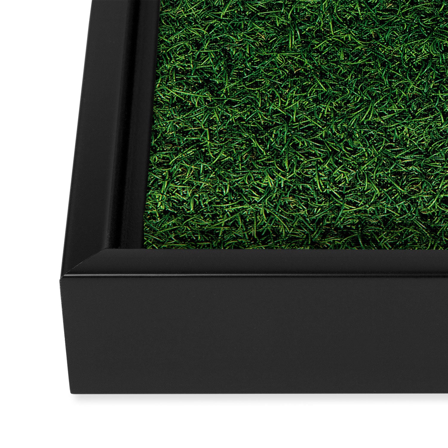 Green Grass Framed Canvas Print Gallery Image 3