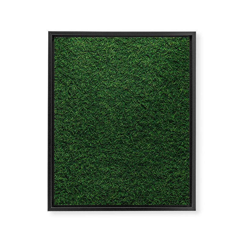 Green Grass Framed Canvas Print Gallery Image 6