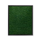 Green Grass Framed Canvas Print Gallery Image 6