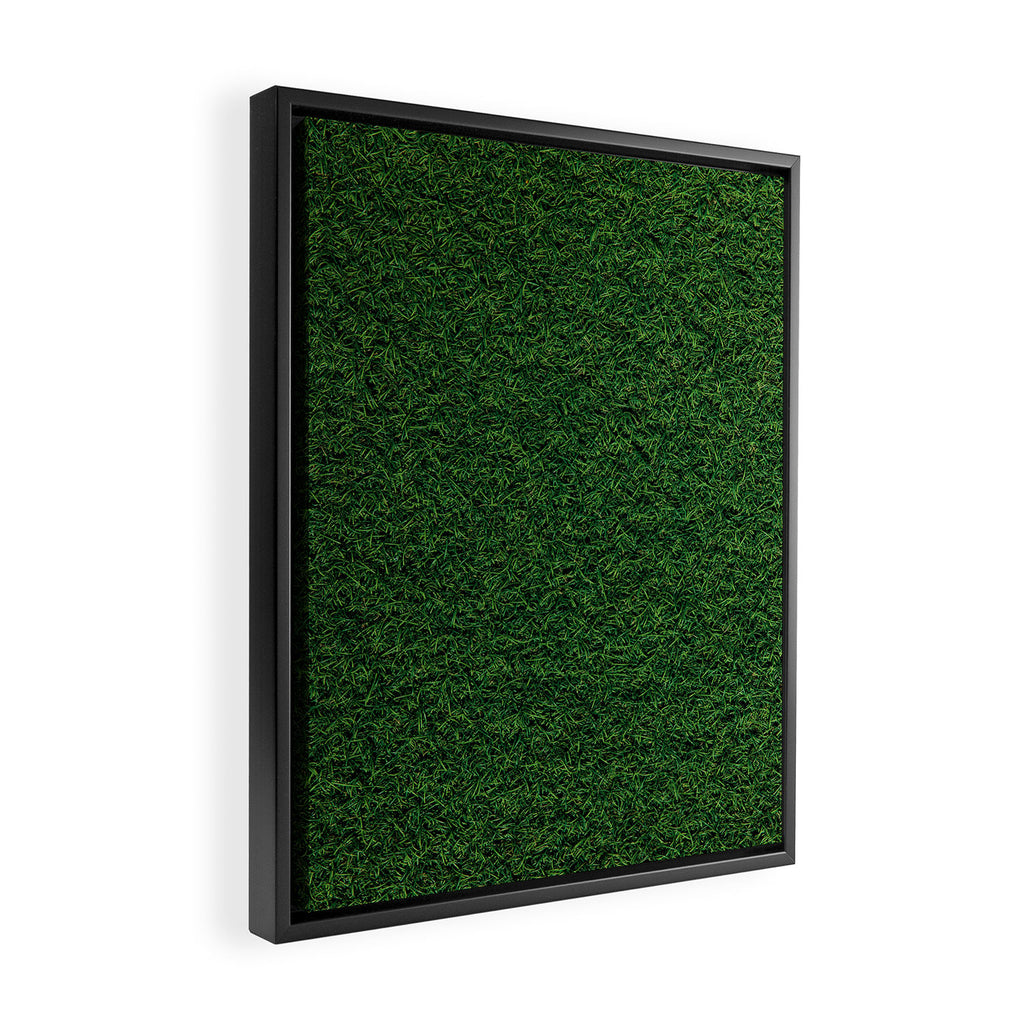 Green Grass Framed Canvas Print Gallery Image 2