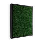 Green Grass Framed Canvas Print Gallery Image 2