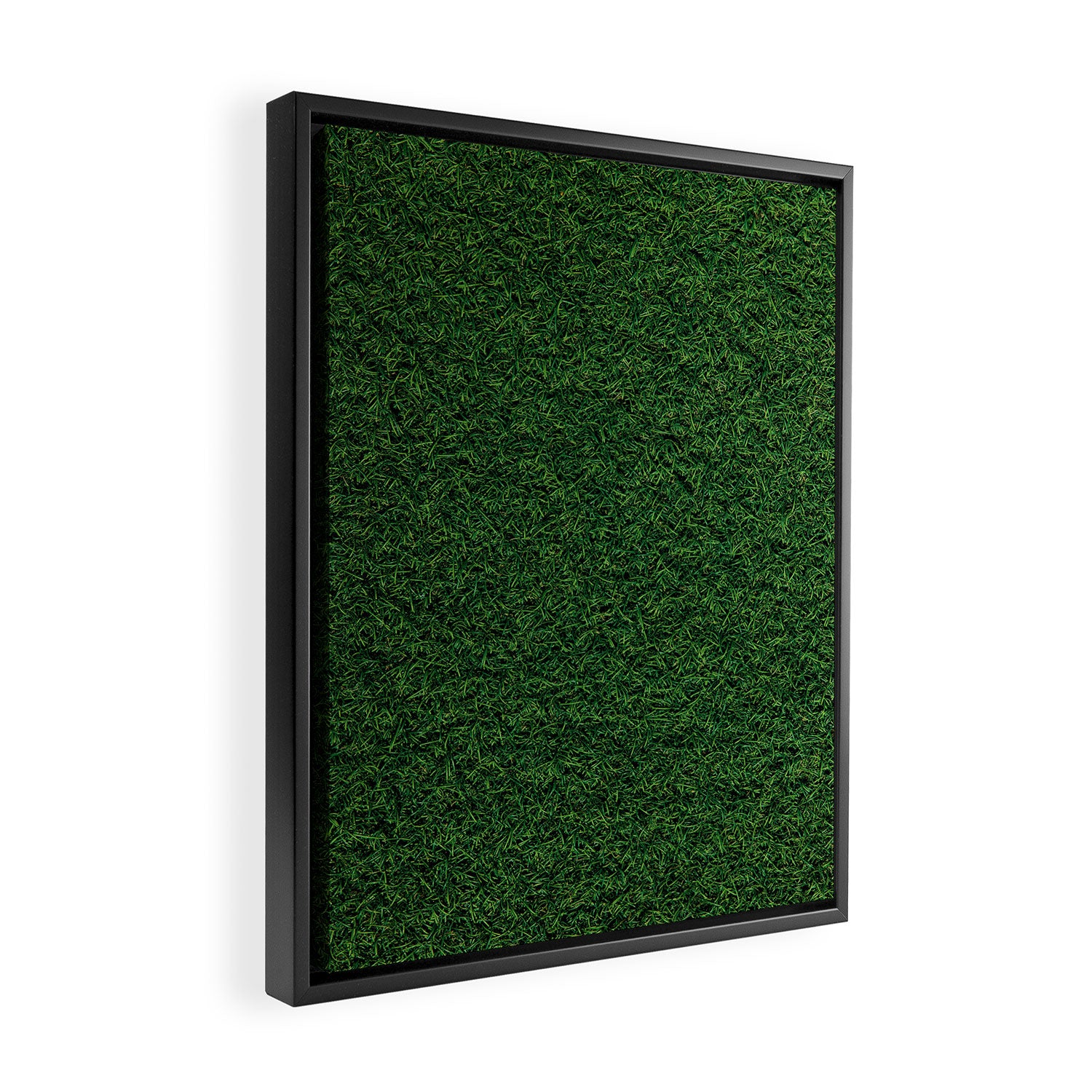 Green Grass Framed Canvas Print Gallery Image 2