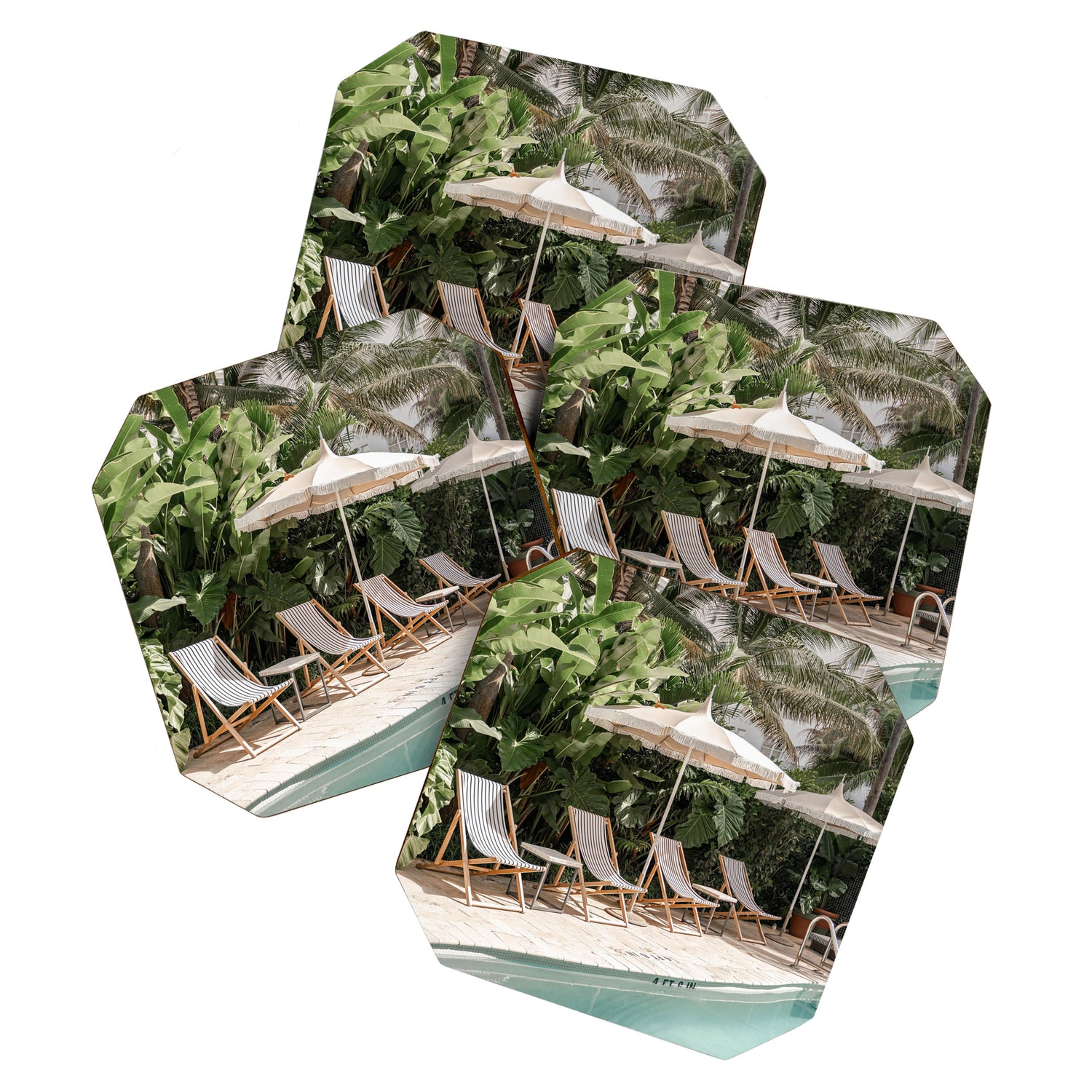 Miami Beach, Florida, Poolside Palm Trees Coaster Gallery Image 1