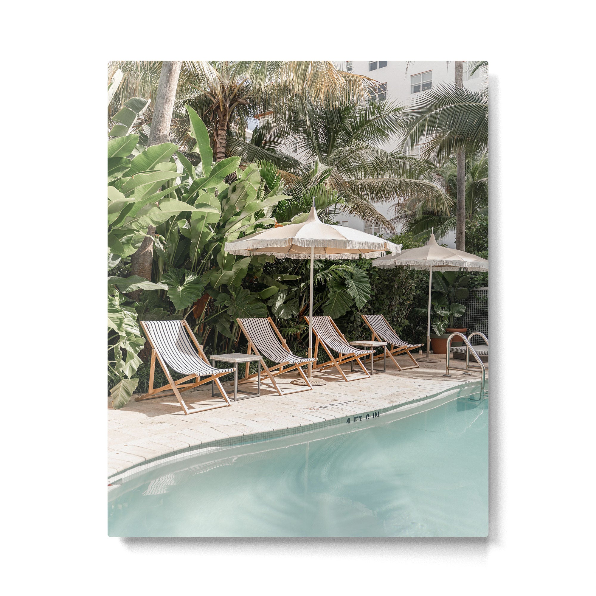 Miami Beach, Florida, Poolside Palm Trees Metal Print Gallery Image 4