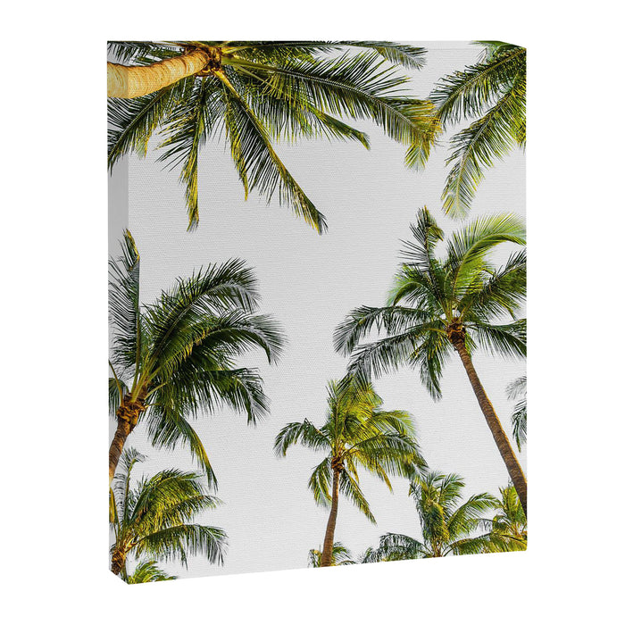 Palm Trees Canvas Print Gallery Image 1