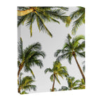Palm Trees Canvas Print Gallery Image 6