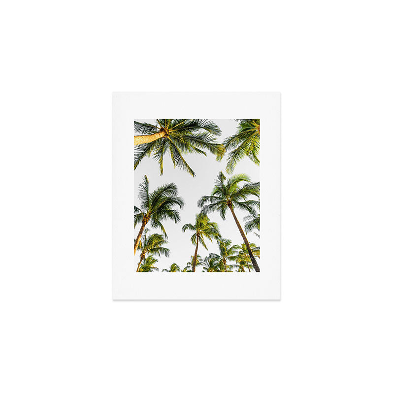 Palm Trees Art Print Gallery Image 1