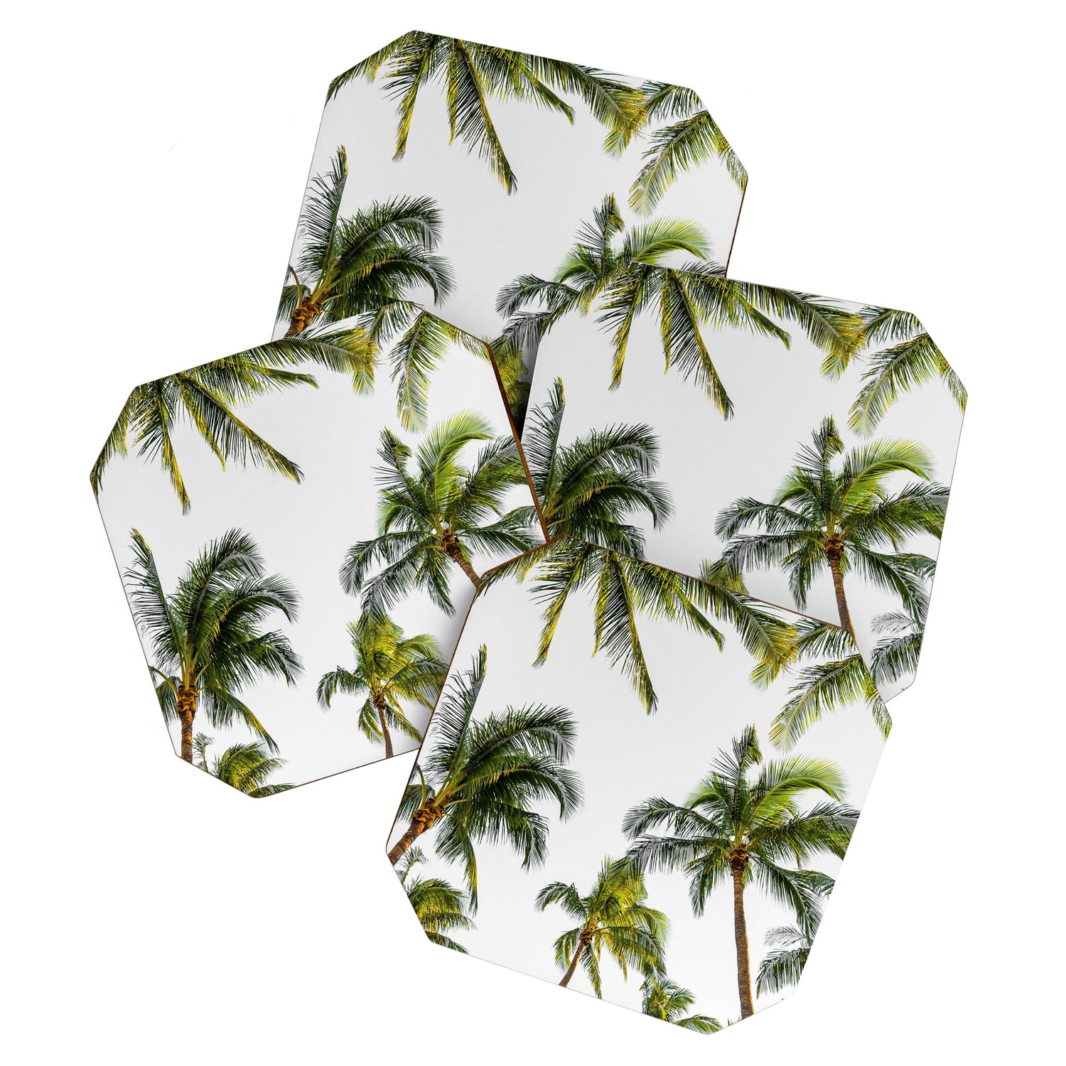 Palm Trees Coaster Gallery Image 1