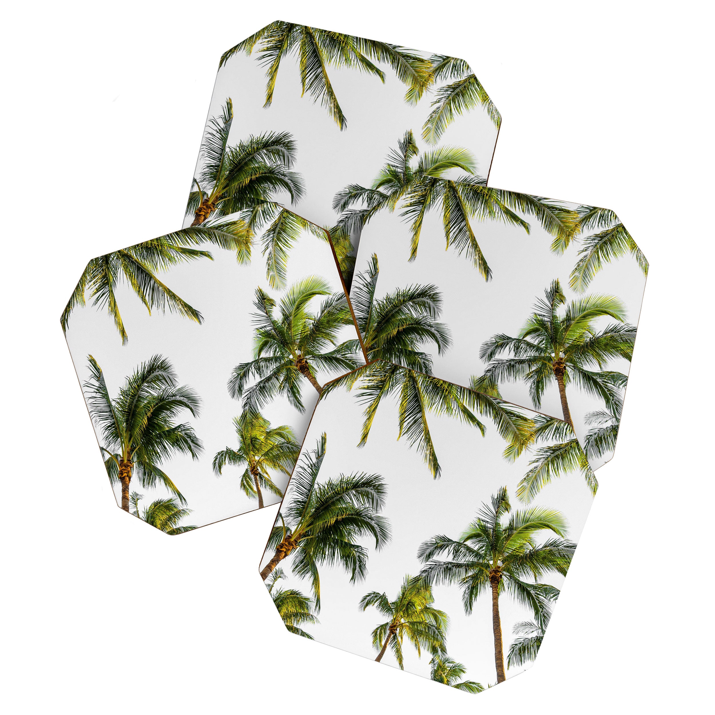 Palm Trees Coaster Gallery Image 1