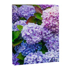 Purple Hydrangeas Blooming Canvas Print Gallery Image 6