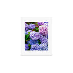 Purple Hydrangeas Blooming Art Print Gallery Image 1
