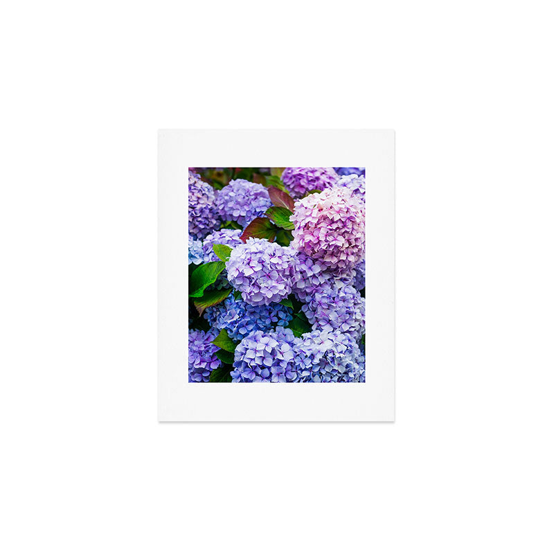 Purple Hydrangeas Blooming Art Print Gallery Image 1