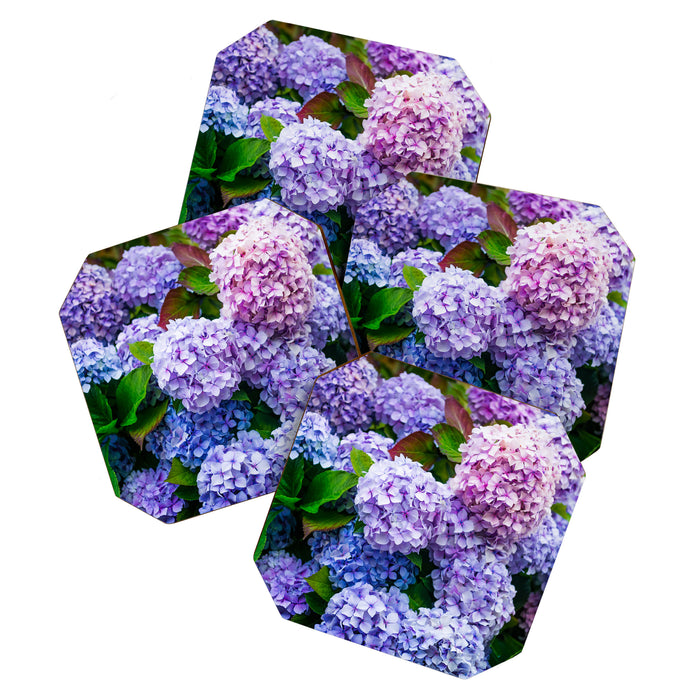Purple Hydrangeas Blooming Coaster Gallery Image 1